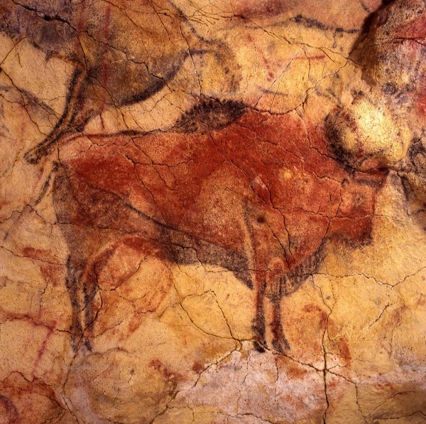 Наскальная живопись Испания пещера Альтамира