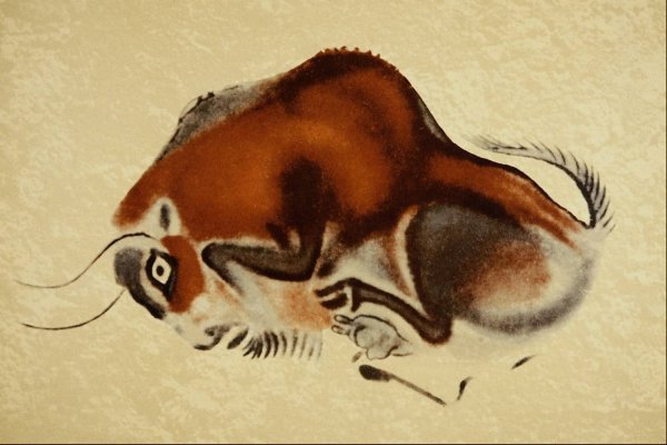 Бизон пещера Альтамира Испания