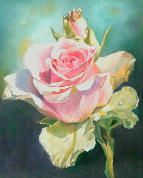 Розы маслом Джон Маккарти