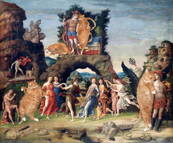 Кристофер Кадоган