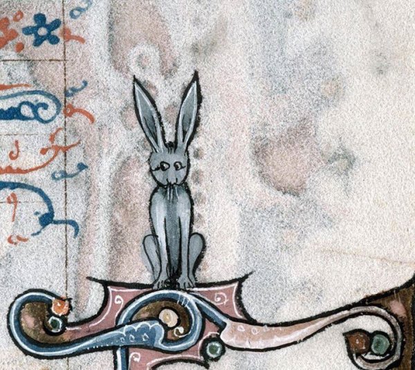 Кролик средневековье