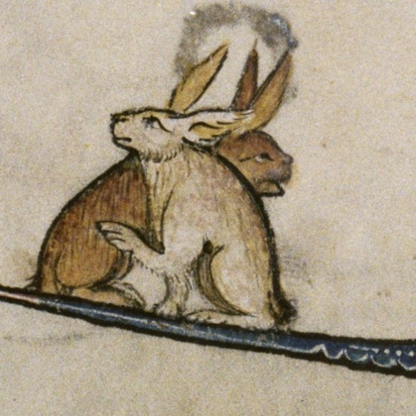 Средневековые зайцы