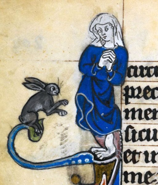 Книжная миниатюра средневековья дролери