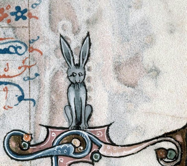 Средневековые маргиналии зайцы