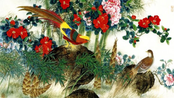 Фазан в китайской живописи