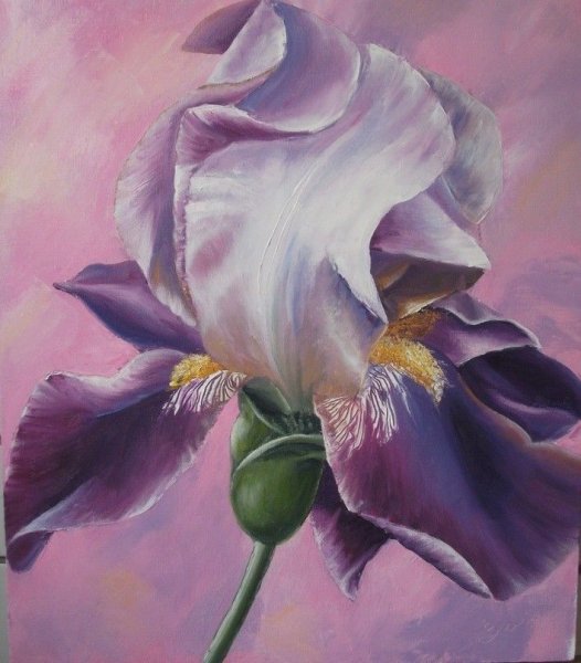 Гиперреализм в живописи ирисы