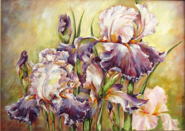 Картина ирисы