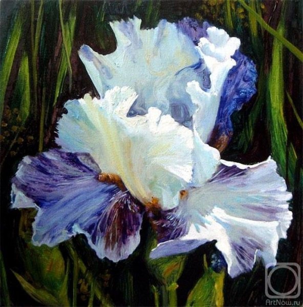 Ренуар цветы ирисы
