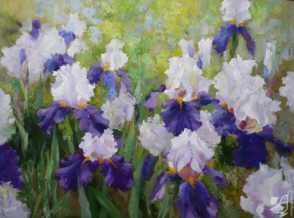 Ренуар ирисы