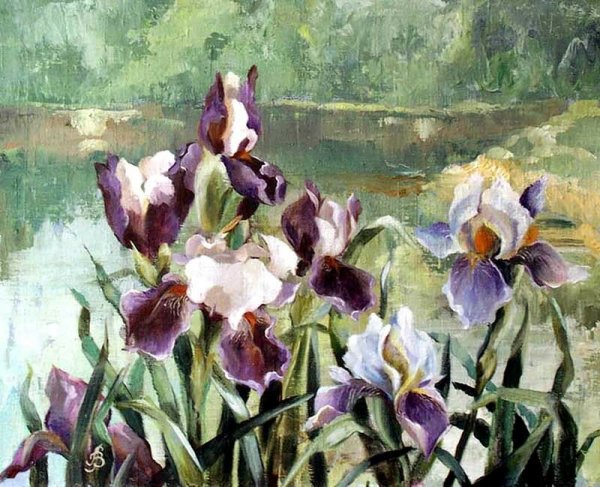 Владимир Иванов ирисы