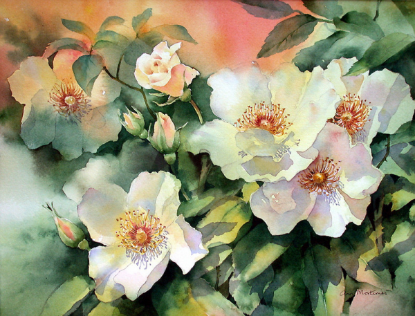 Изумительные акварели Ann Mortimer