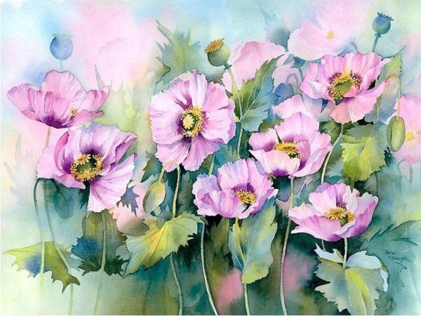 Акварели Рэйчел МАКНОТОН