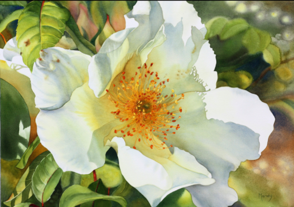 Marney Ward канадская художница