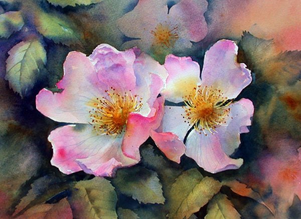 Энн Мортимер акварель