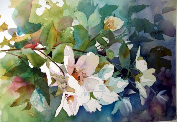 AUD Rye акварель