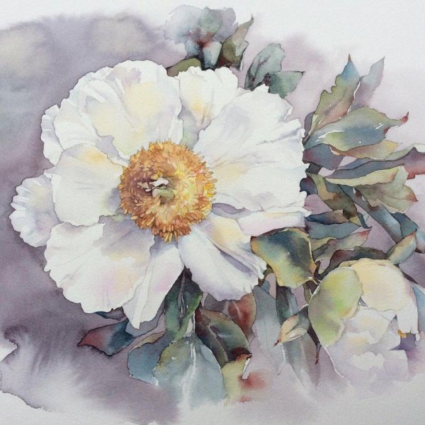 Olena Duchene акварель