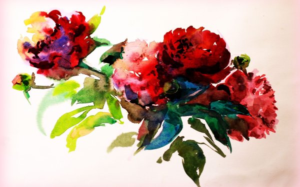 Акварельные цветы