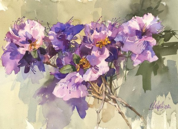 Алексеев Сергей акварель цветы