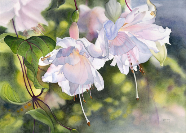 Акварели Марни Вард Marney Ward