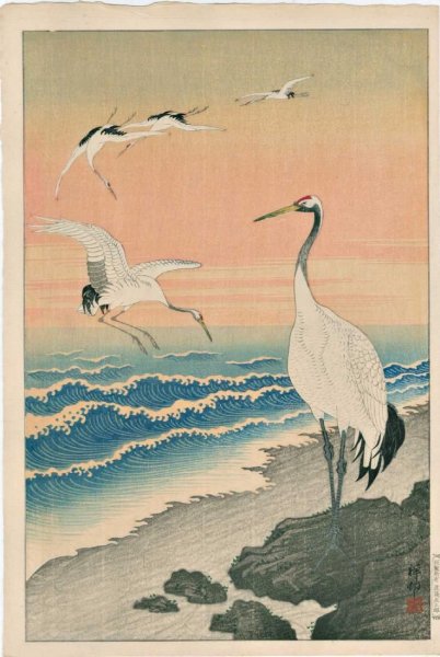 Косон Охара Цапли