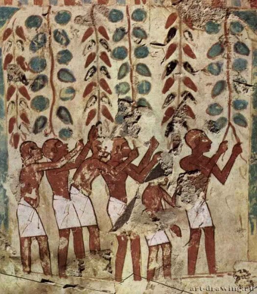 Фрески гробницы Нахта жреца Амона