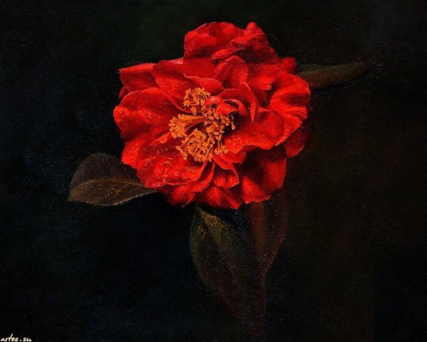 Художник Алексей Антонов пионы