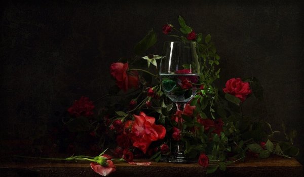 Натюрморт на черном фоне живопись