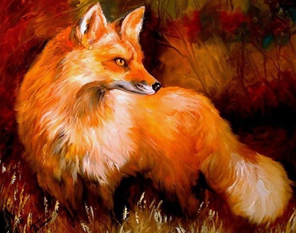 Художник Marcia Baldwin Лисичка