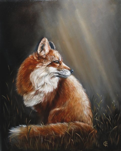 Живопись маслом лиса