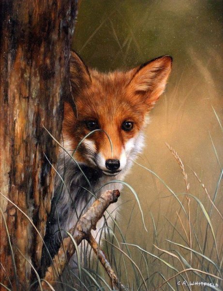 Художник Карл Эндрю Уитфилд