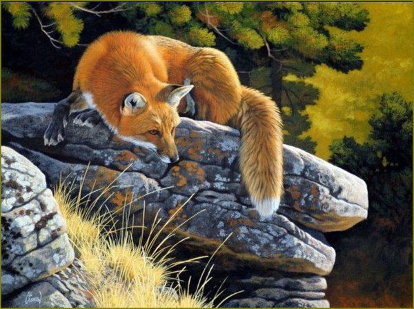 Ал.Агнев художник-анималист