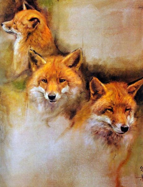 Животные rien Poortvliet