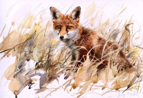 Художник Lucy Newton