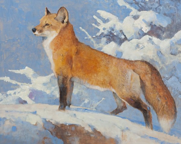 Вильгельм Кунерт лиса