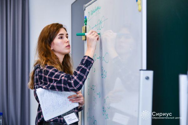 Сириус Сочи художники