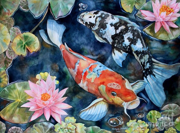 Tanya Jacobsz картины