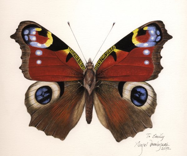 Симметрия в живописи и искусстве