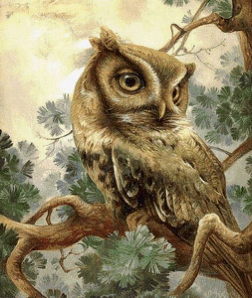 Картина Сова