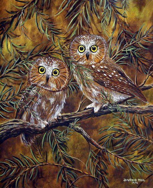 Совушка живопись