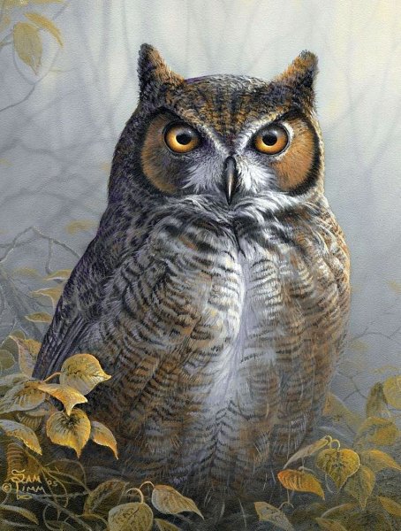 Совы художник Базиль Эде