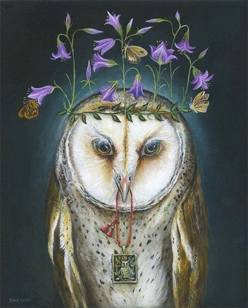 Сова сипуха картина