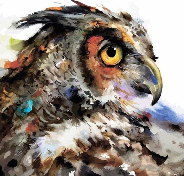 Художники анималисты птицы акварель