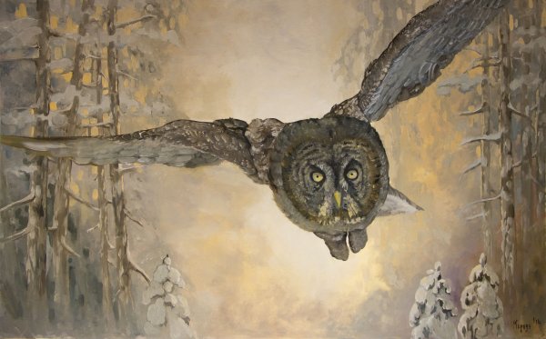 Летящая Сова живопись