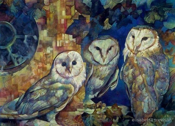 Совы от Elisabetta Trevisan.