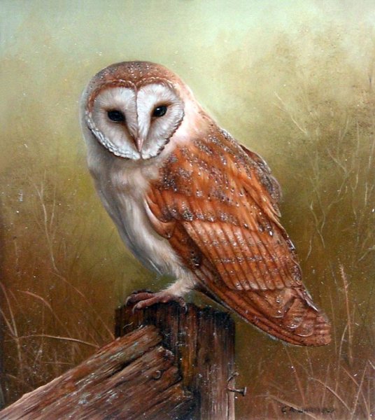 Карл Эндрю Уитфилд