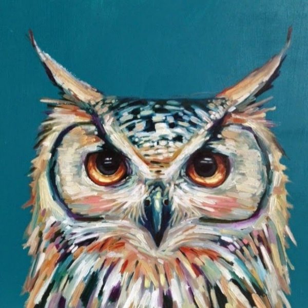 Сова акрилом