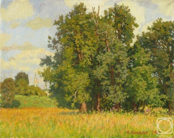 Комаров Александр Алексеевич Суздаль