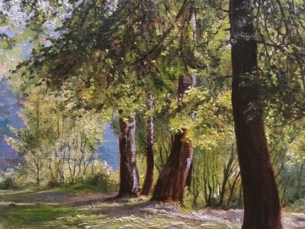 Липы лето живопись