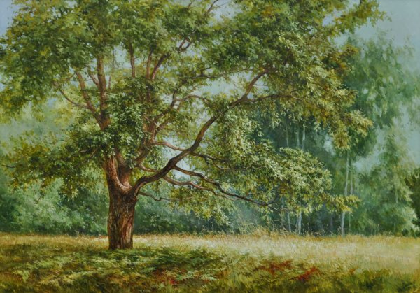 Алексей Аникин художник картины