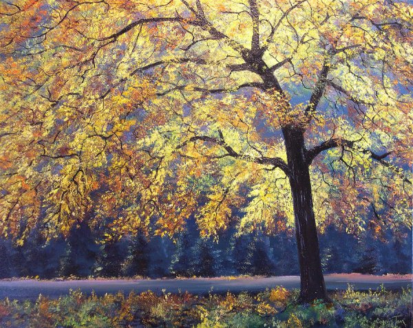 Осеннее дерево живопись